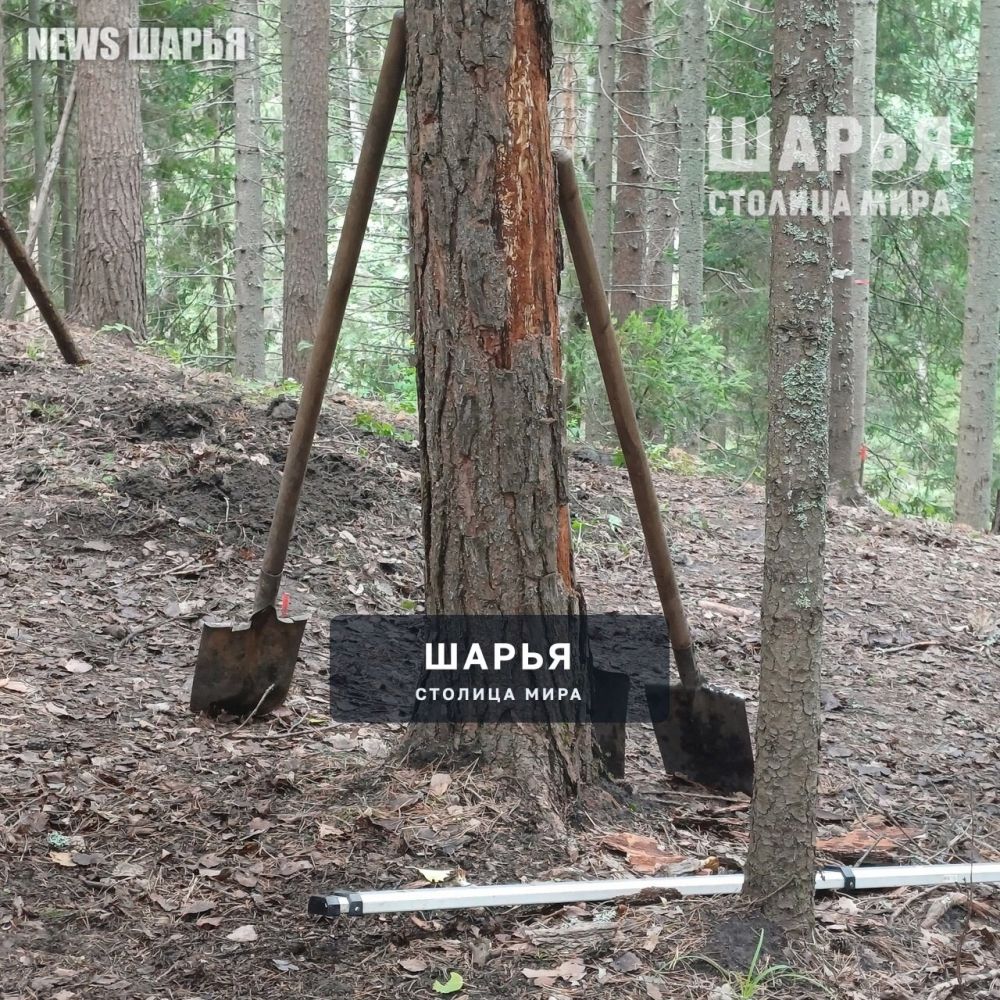 Археологи начали работу под Одоевским — Шарья — фото 5