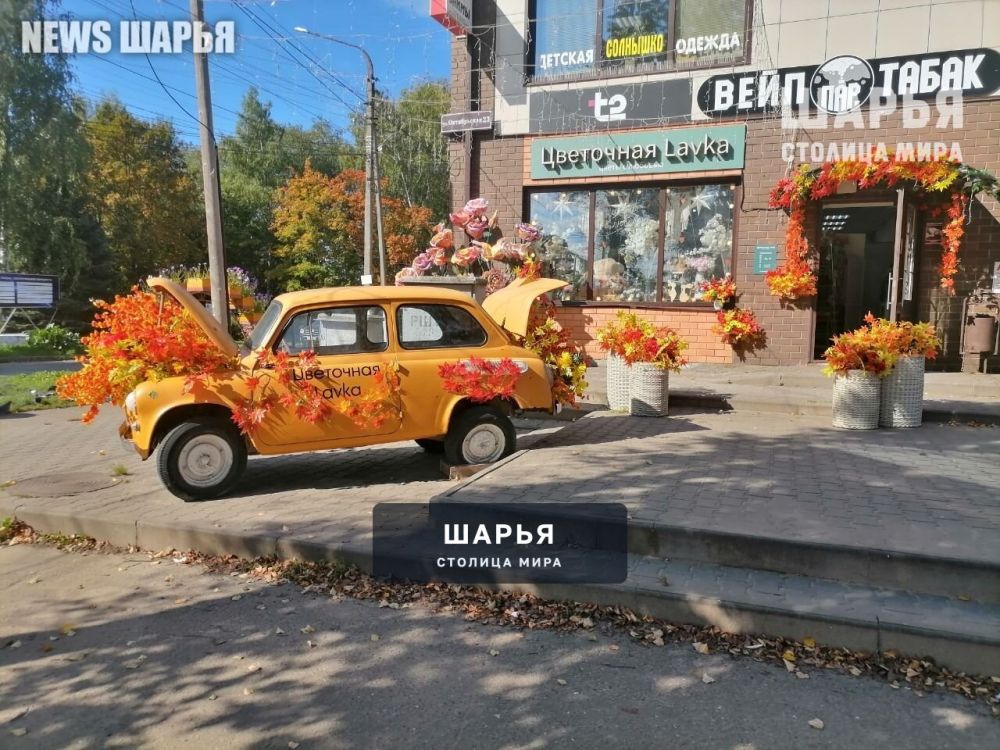 Осень пришла, украшая всё вокруг — Шарья — фото 2