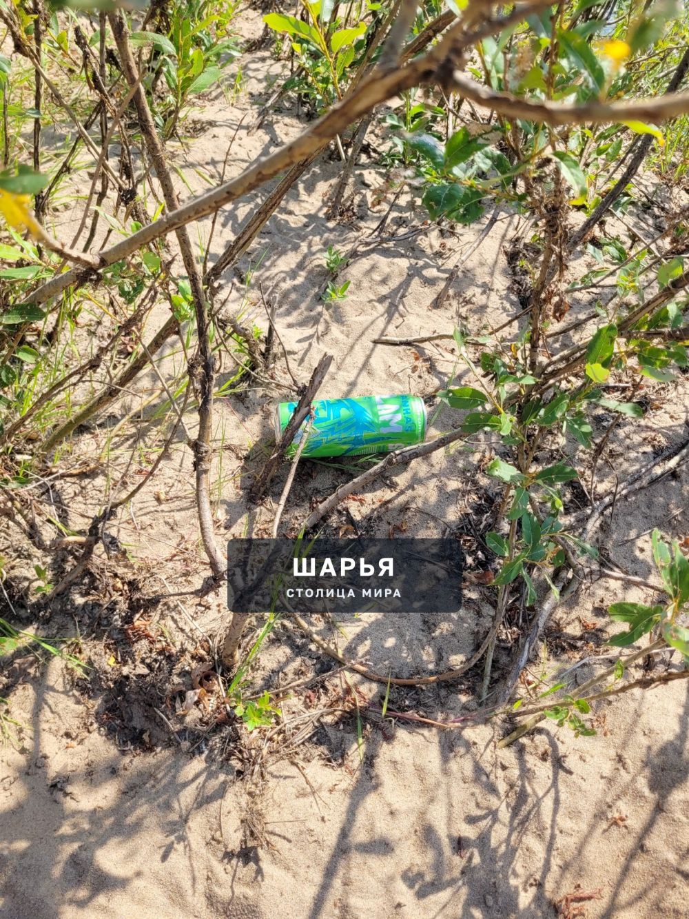 Д.пустошка пляж.твари конченные кто это сделал,чтоб у вас руки отсохли!значит у вас в домах… — Шарья — фото 4