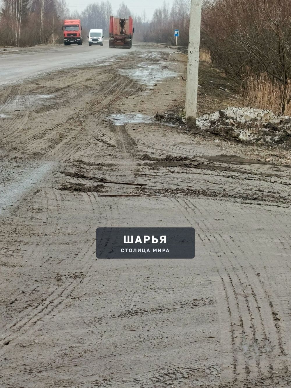 Хотелось бы обратиться к градоначальнику г. Шарья — фото 2