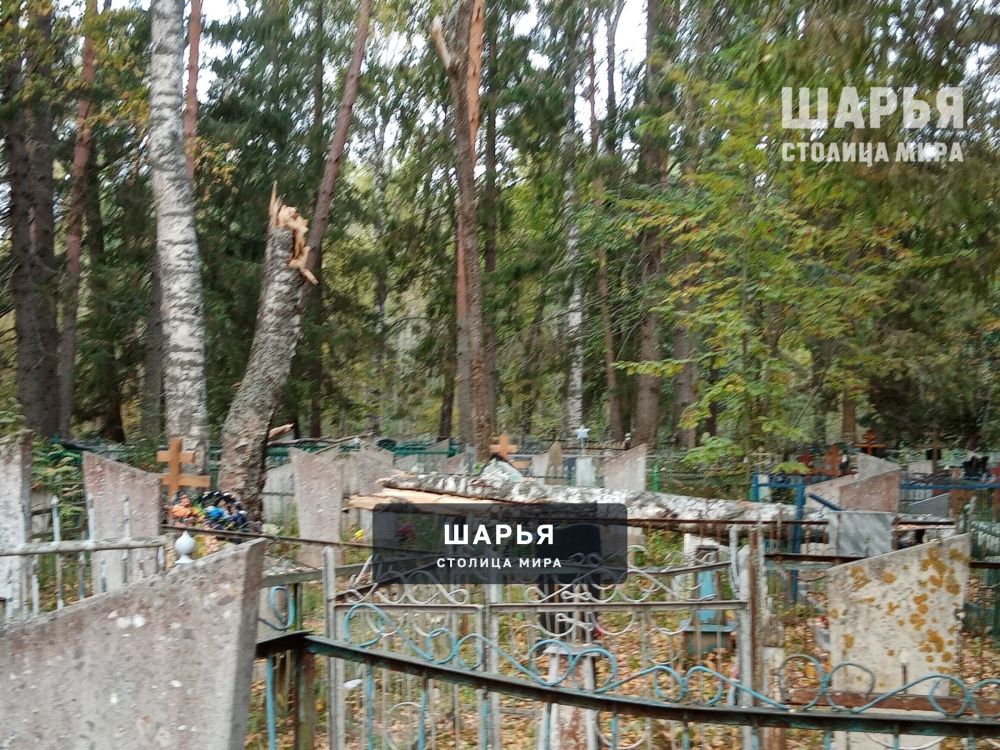 Шарьинцы, родные которых захоронены вблизи Братской могилы, должны проверить захоронения — Шарья — фото 2