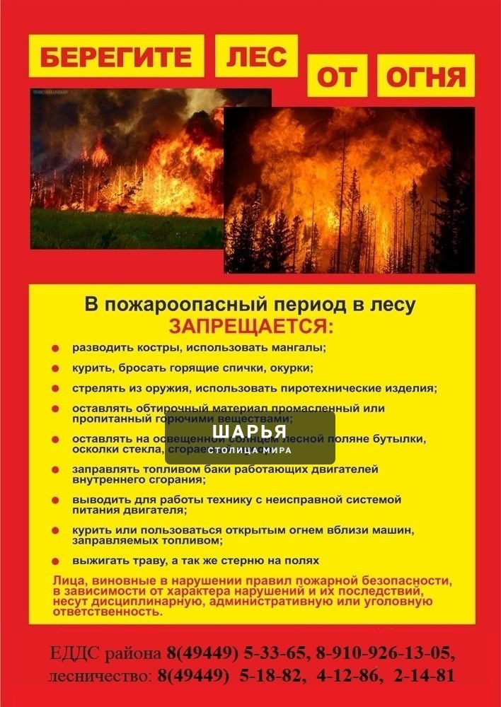 На территории Шарьинского района установился III класс пожарной опасности — Шарья — фото 3