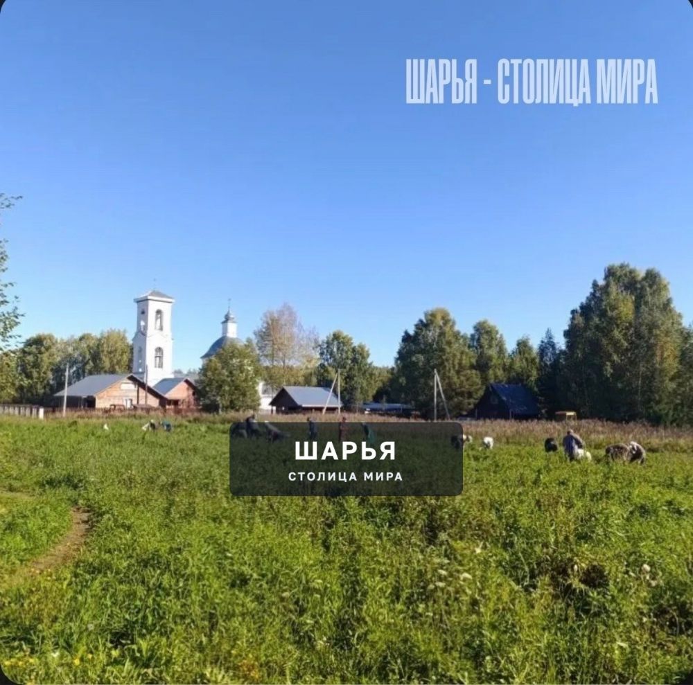 История забытой церкви на реке Ветлуге, и редкого примера русского меценатства, вернувшего ей… — Шарья — фото 2