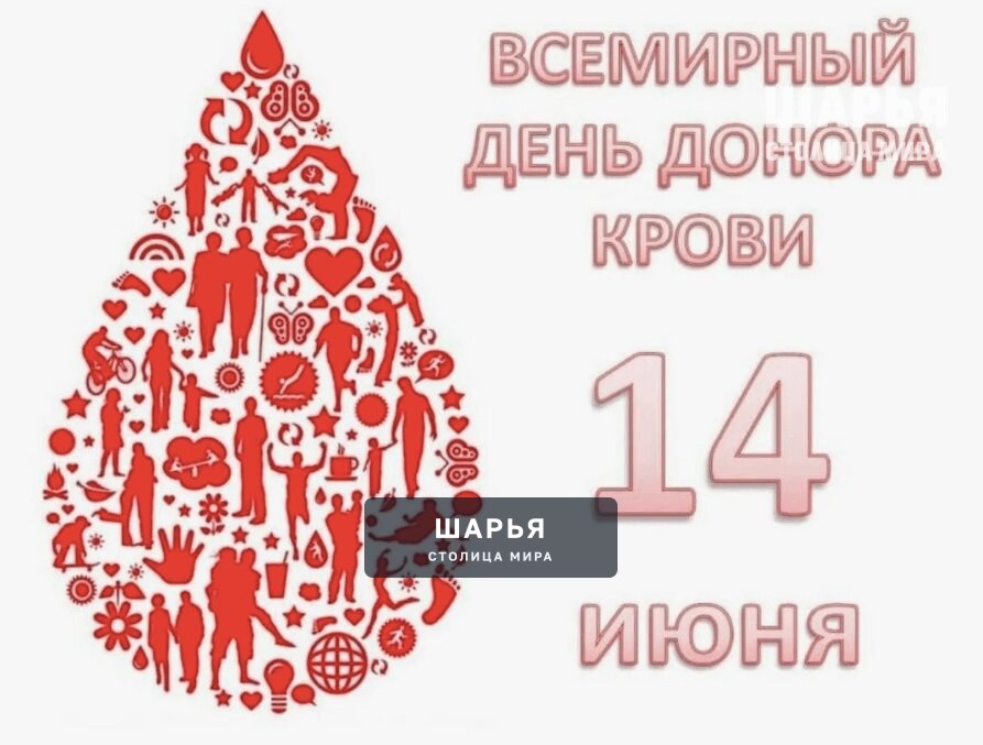 Сегодня мы отмечаем Всемирный день донора крови — Шарья
