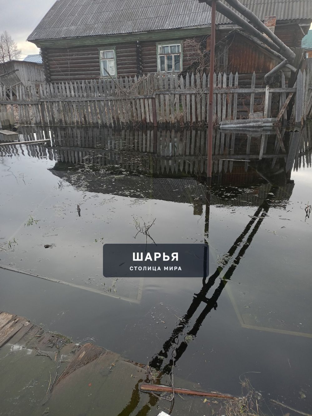 Администрация городского округа г.Шарья подскажите пожалуйста в какую сторону вы хотите… — фото 6