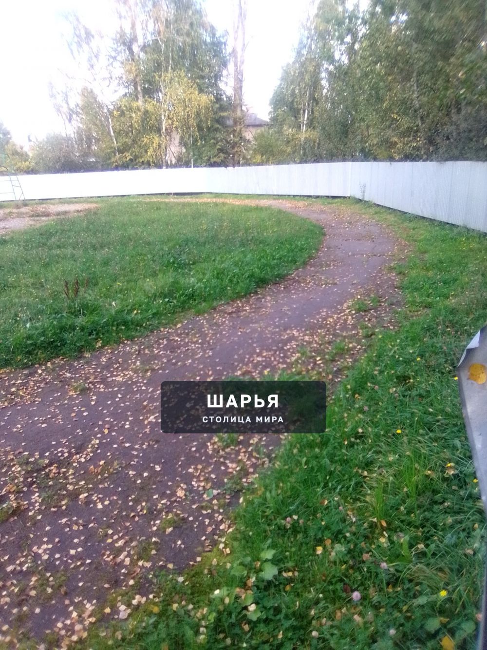 Публикация «Обращение к переизбранному депутату от города Шарья»