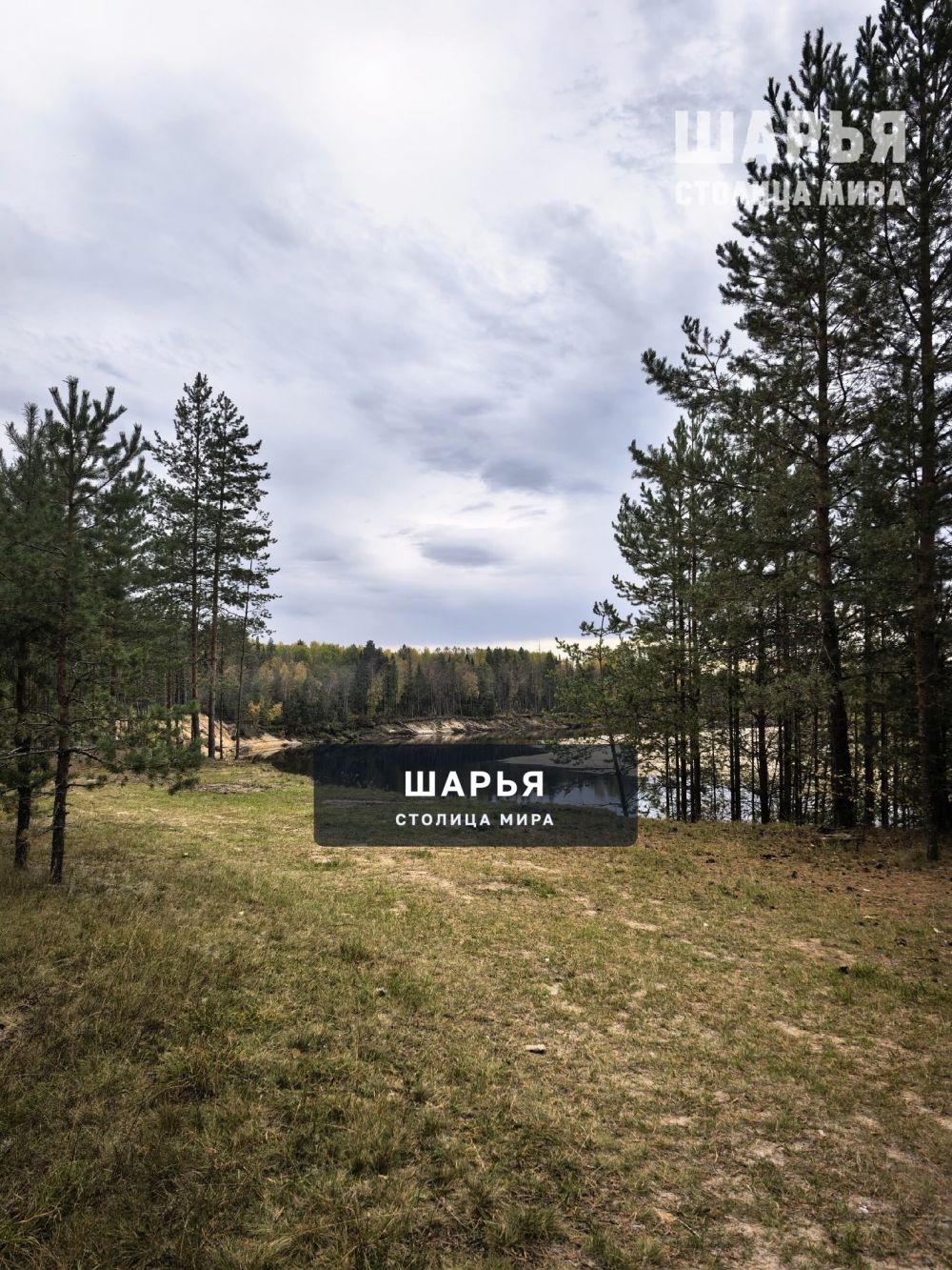 Красный яр — Шарья — фото 3