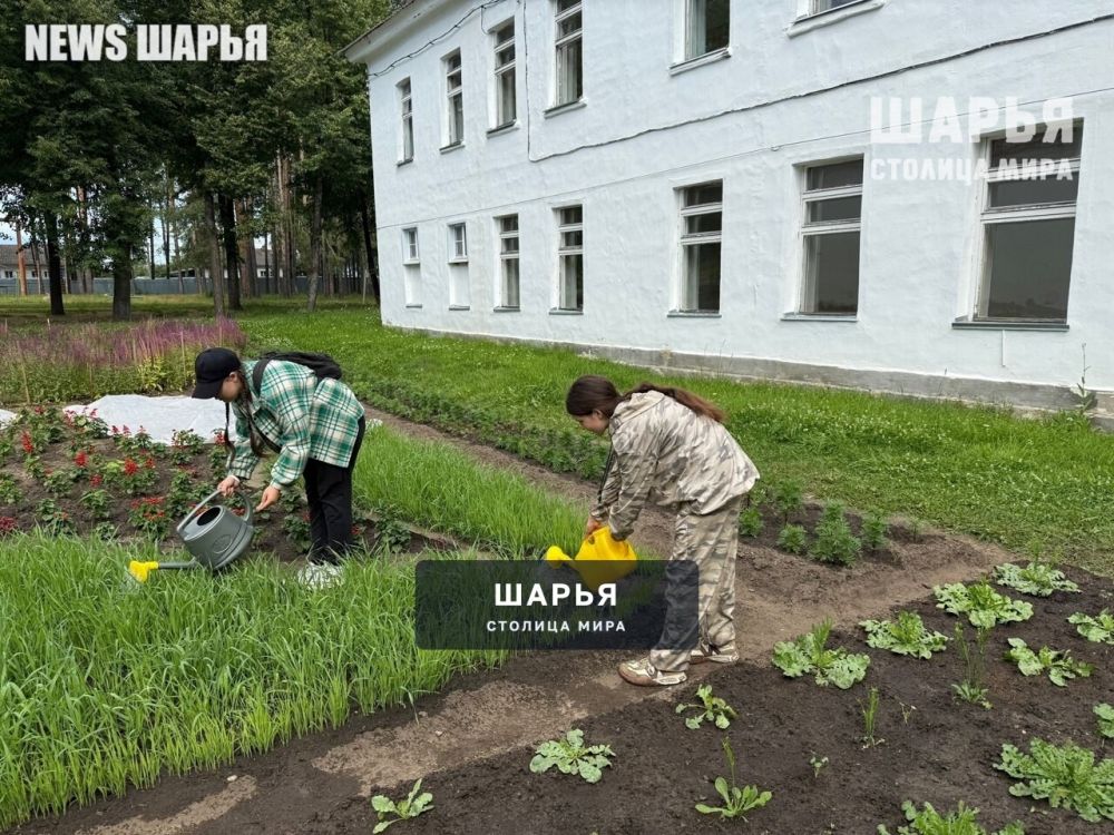 Детские сады и школы Шарьи готовятся принят ребят в свои "объятья" — Шарья — фото 6