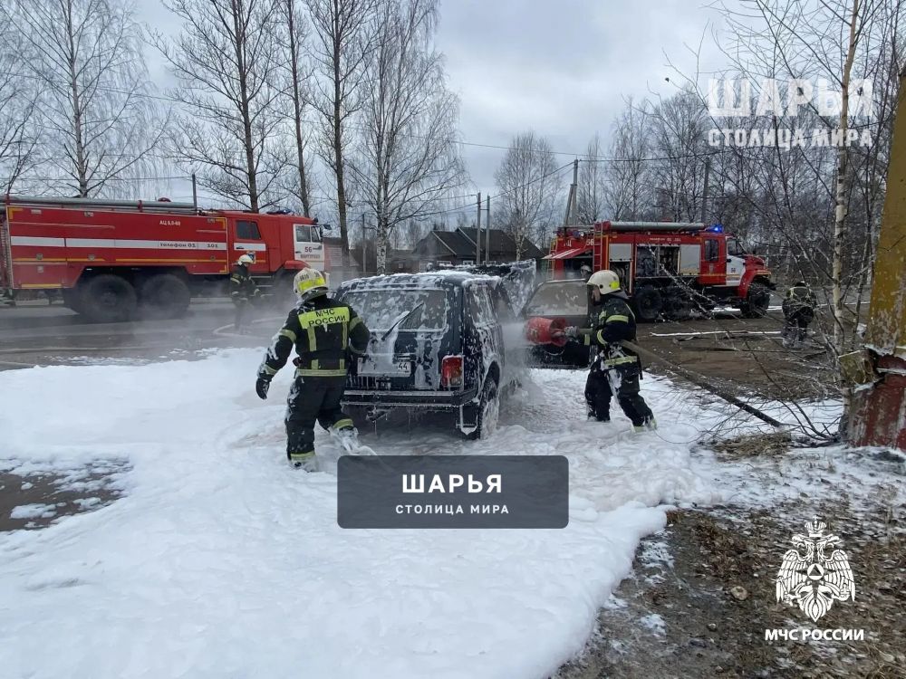 За минувшую неделю при пожарах погиб один человек — Шарья