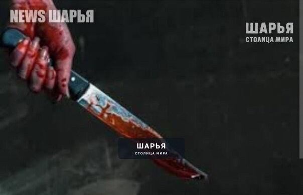 Шарьинка обвиняется в убийстве сожителя — Шарья