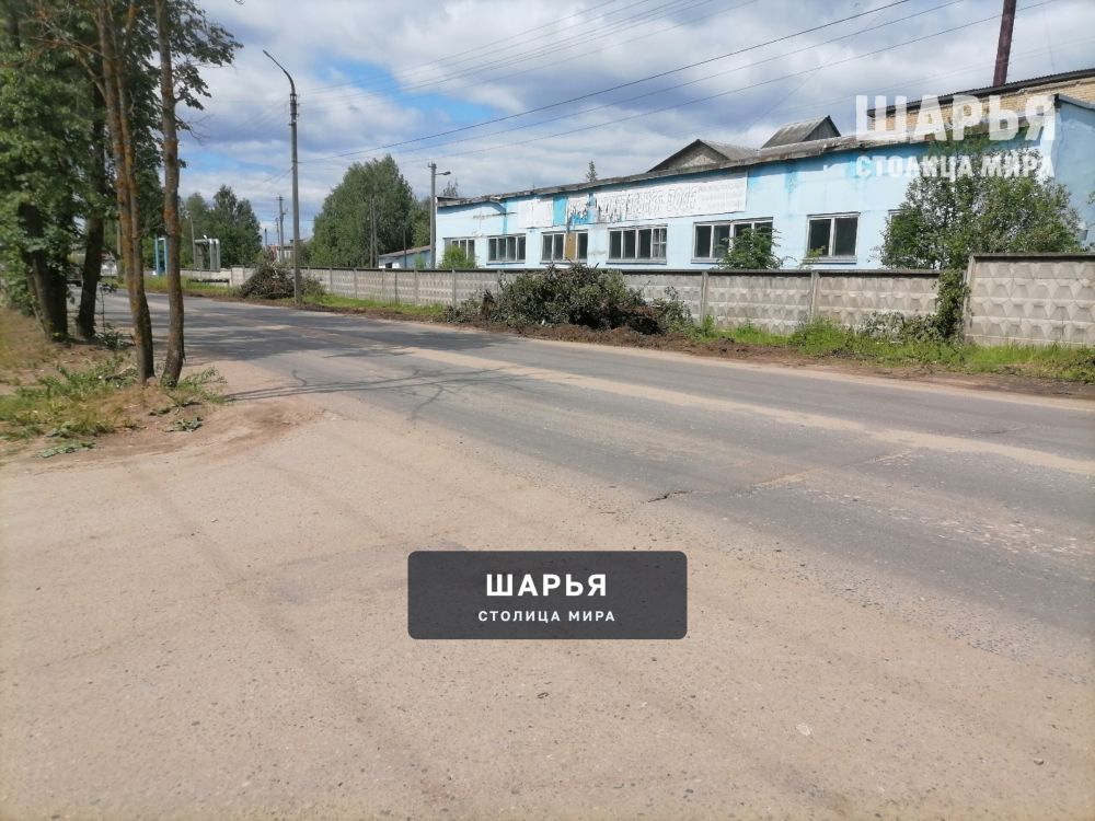 Берёзы спилить не дорогу отремонтировать — Шарья
