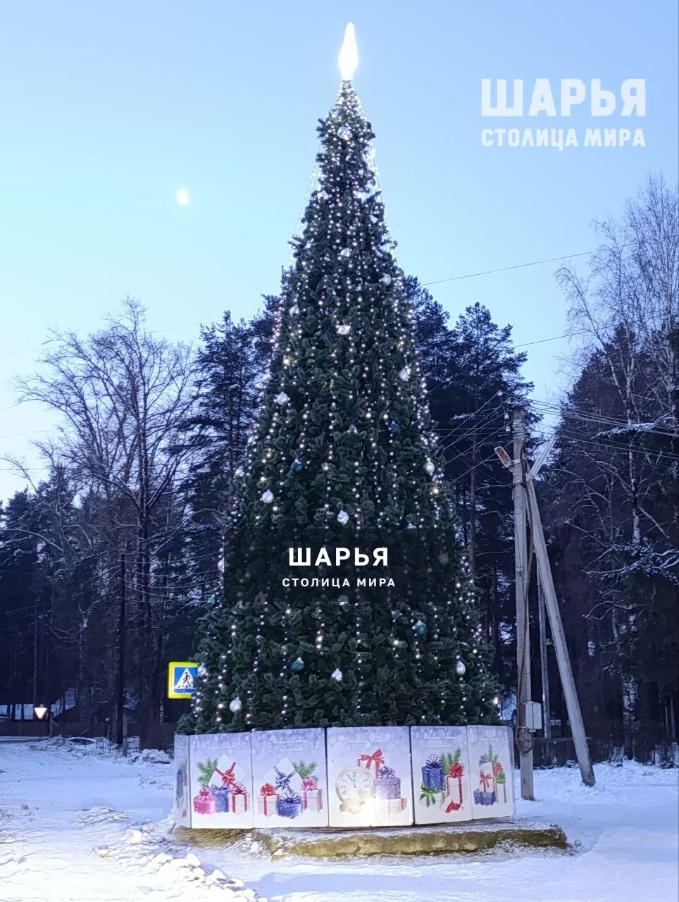 Снег, как и шарьинцы, ждал, пока нарядят елки — Шарья