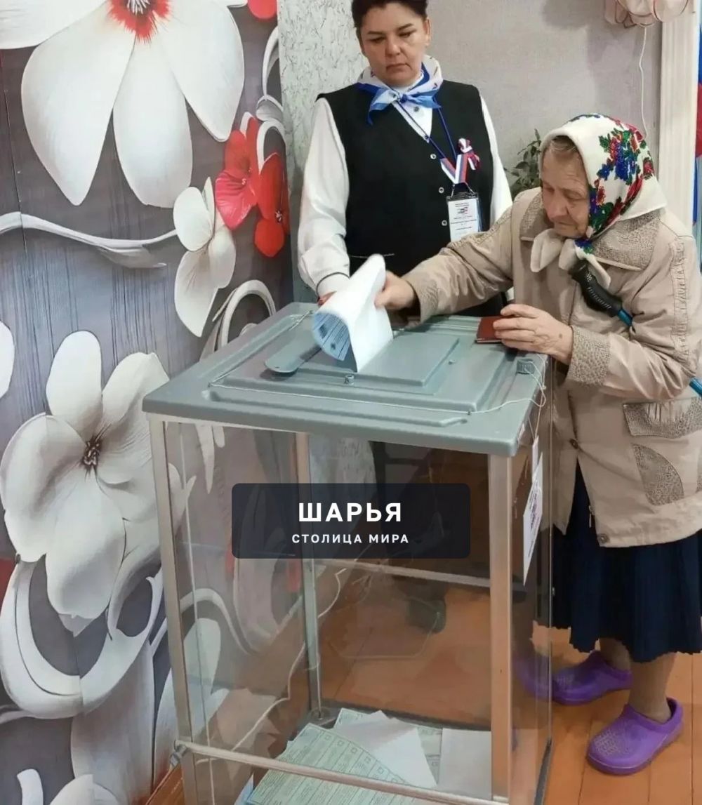 Шарьинцы делают свой выбор — Шарья — фото 4