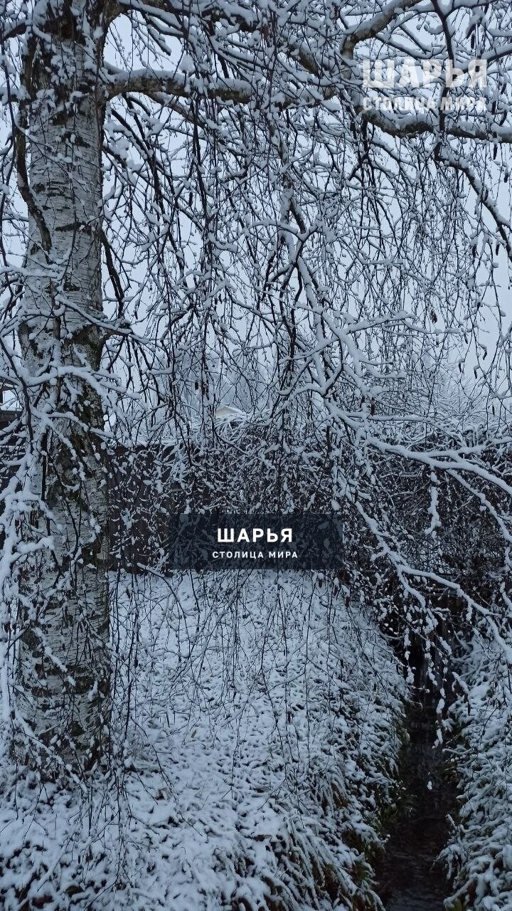 Новость из Шарьи — Шарья — фото 3