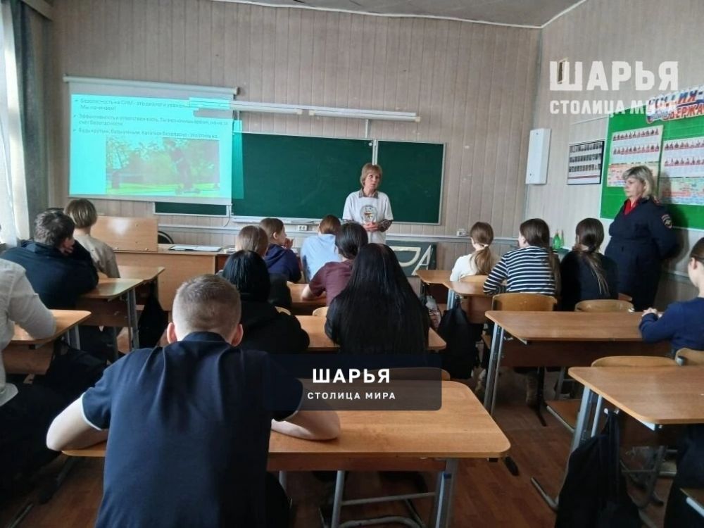 Шарьинские школьники стали участниками урока-квиза — Шарья — фото 2