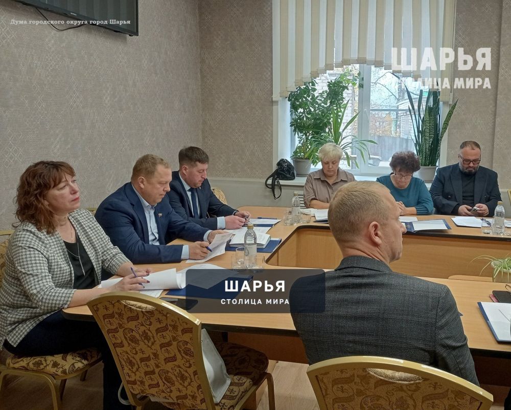 Народные избранники городской Думы продолжают формировать комиссии — Шарья — фото 2