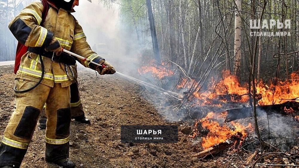 Западная часть региона пылает — Шарья — фото 1