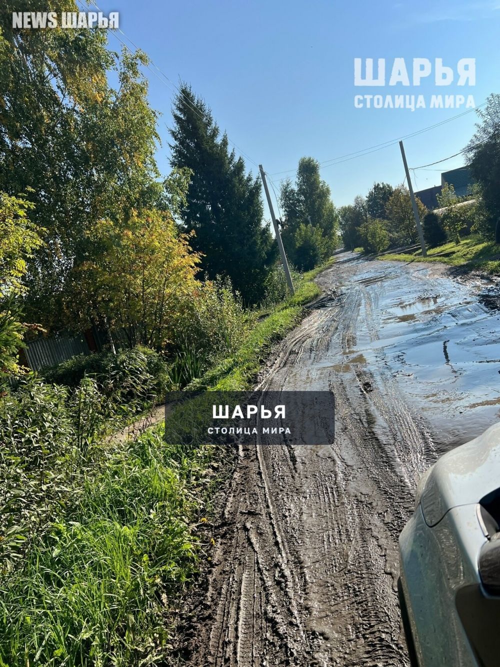 По колено в грязи стало нормой для Шарьи — Шарья — фото 8