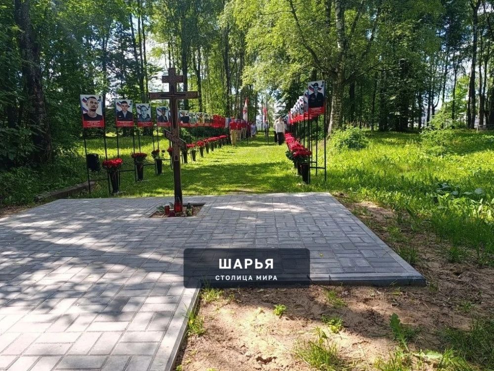Аллея славы героям, павшим в ходе проведения СВО, пополнилась новыми портретами — Шарья — фото 8