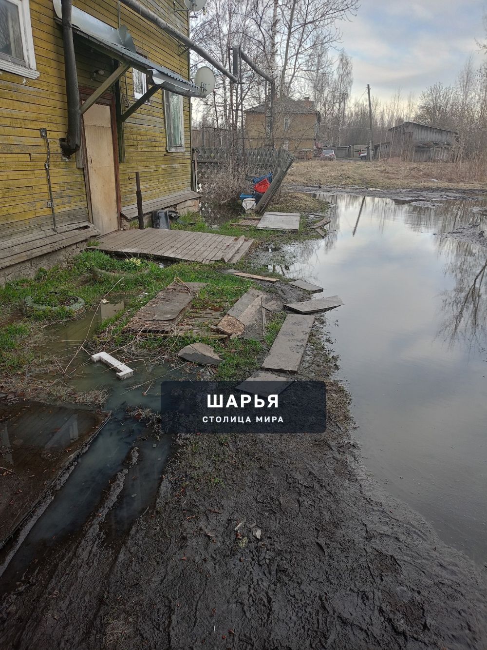 Администрация городского округа г.Шарья подскажите пожалуйста в какую сторону вы хотите… — фото 4