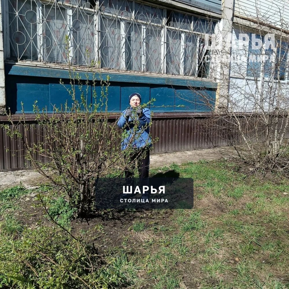 В Шарье и районе жители дружно вышли на субботники — Шарья — фото 7