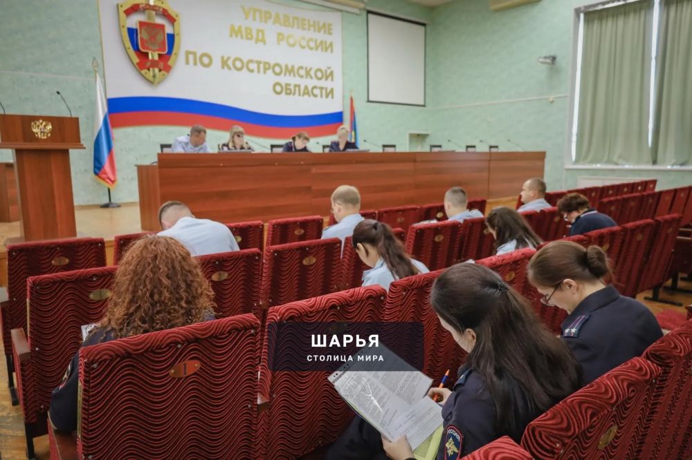 Сотрудники штабных подразделений полиции соревновались за звание «Лучший по профессии» — Шарья — фото 7