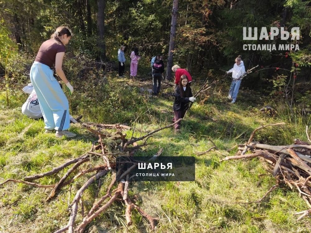 Субботник прошел в шарьинском Городском парке культуры и отдыха — Шарья — фото 9