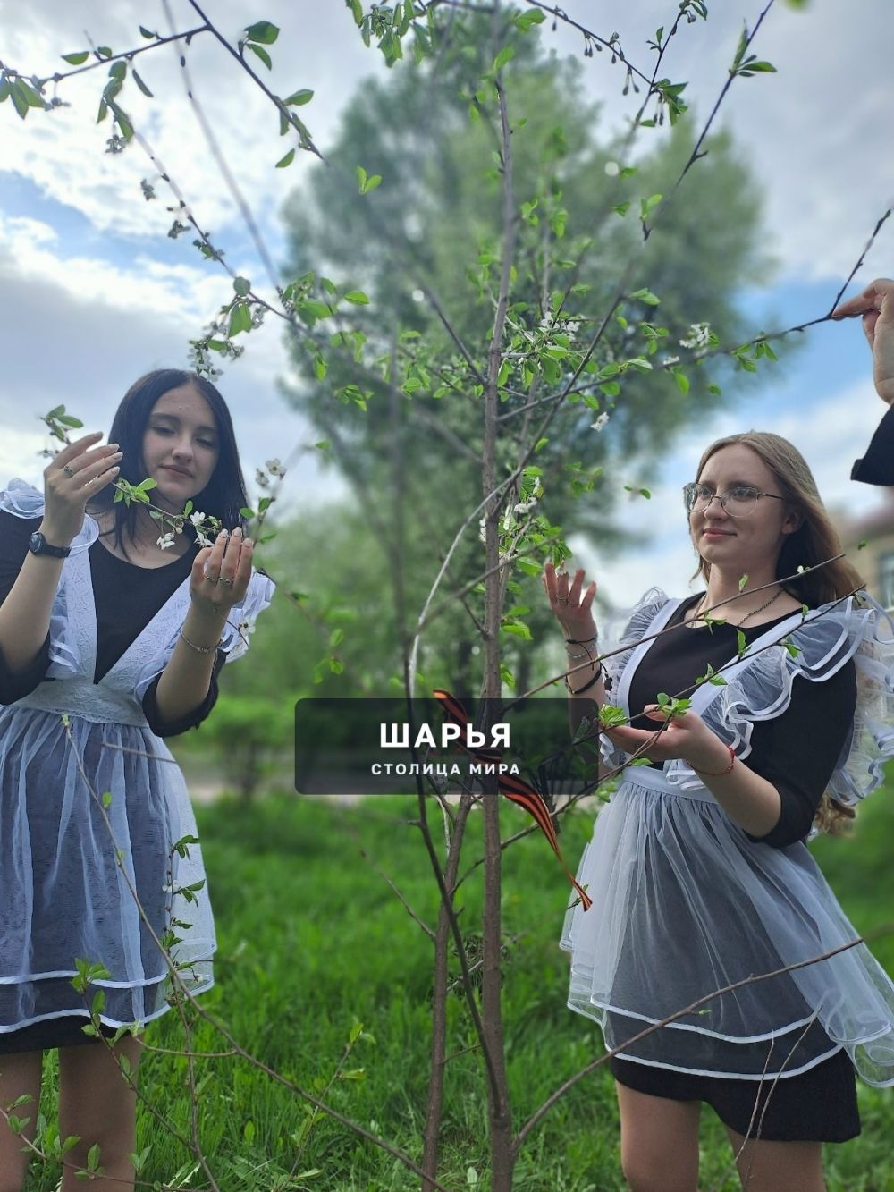 Молодежь Шарьи и Шарьинского района высаживает молодые деревья — Шарья — фото 9