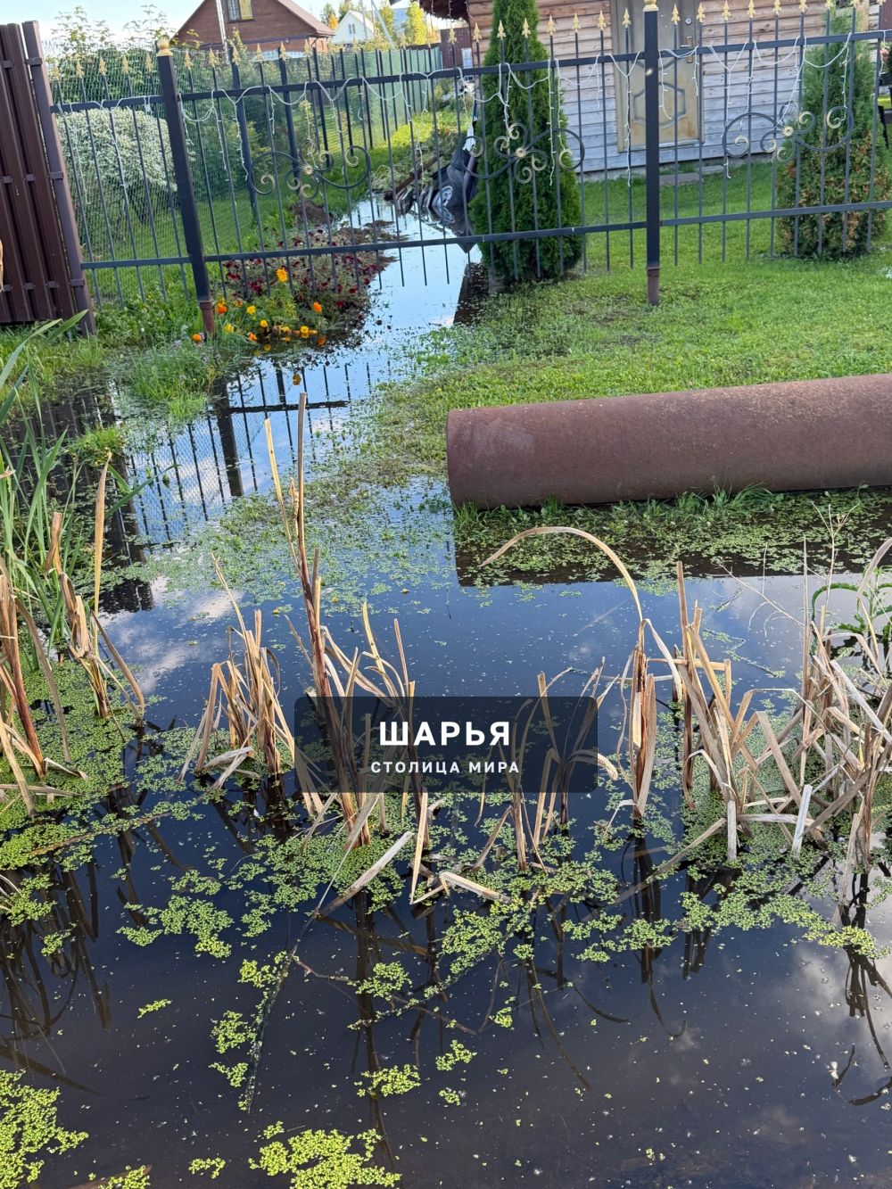 На улице Богородского образовалась канава, которая постоянно заполнена большим количеством… — Шарья — фото 4