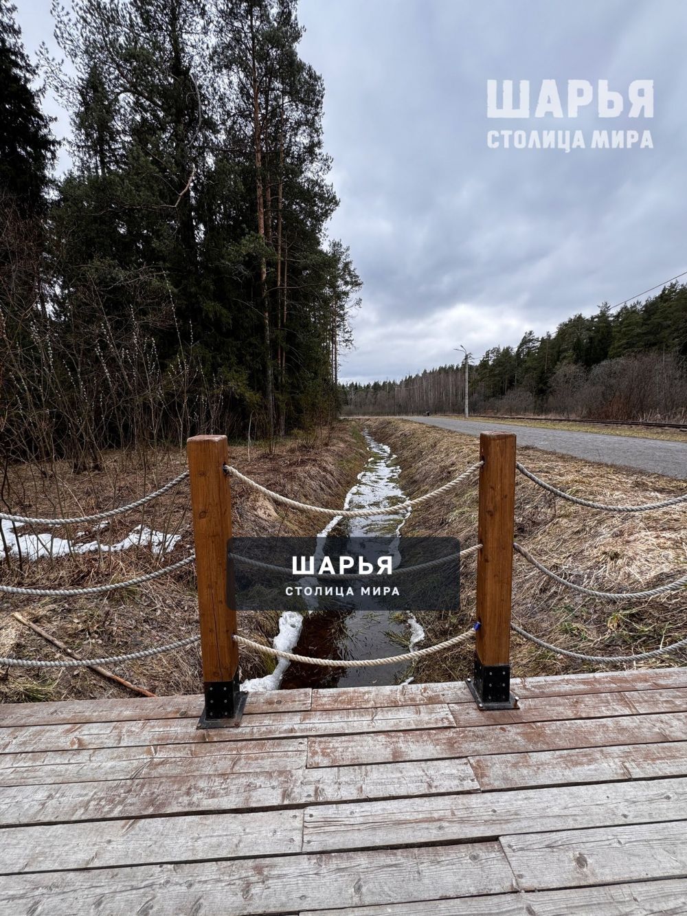 Весна в городском парке — Шарья — фото 2