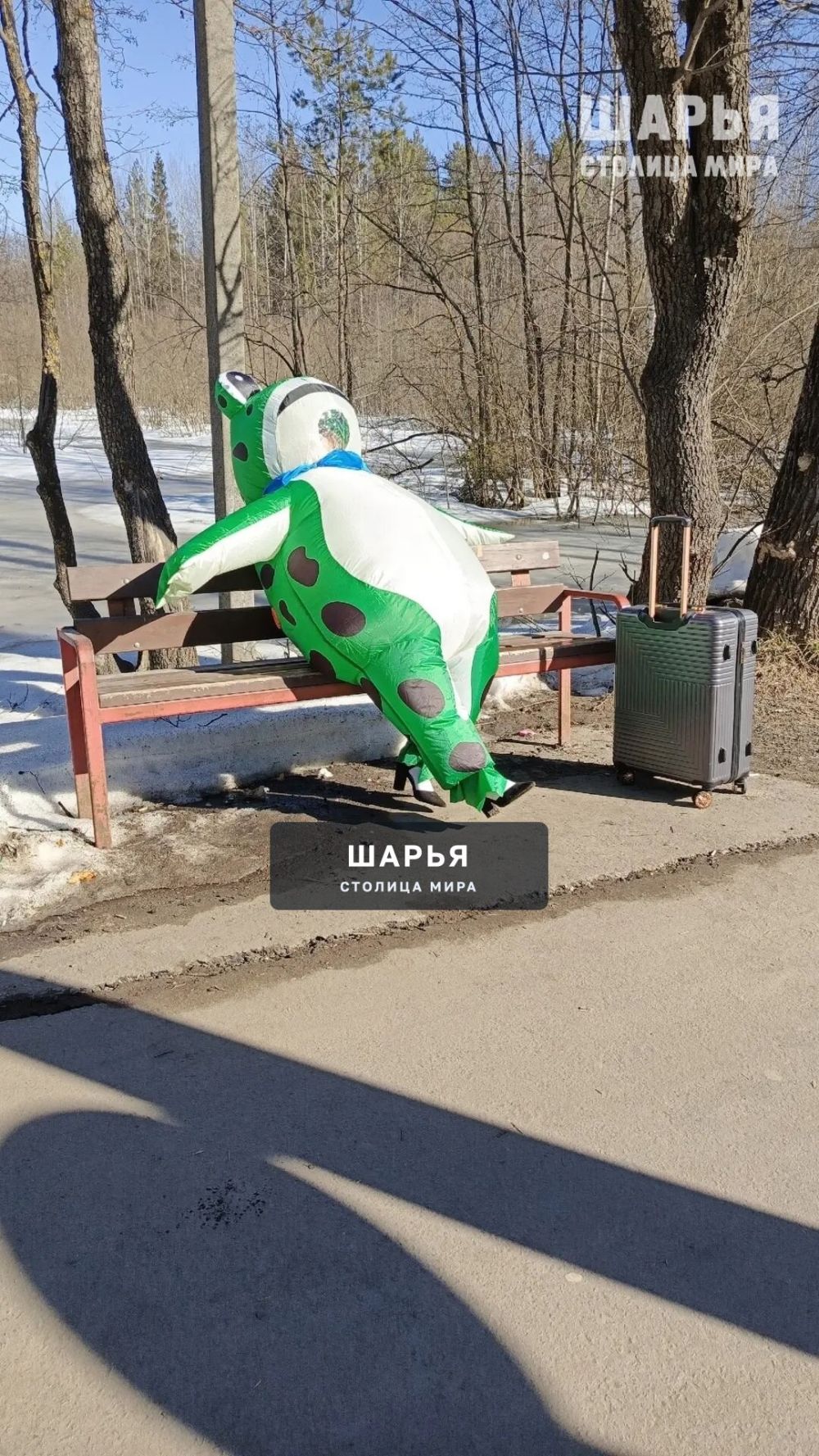 Природа просыпается — Шарья