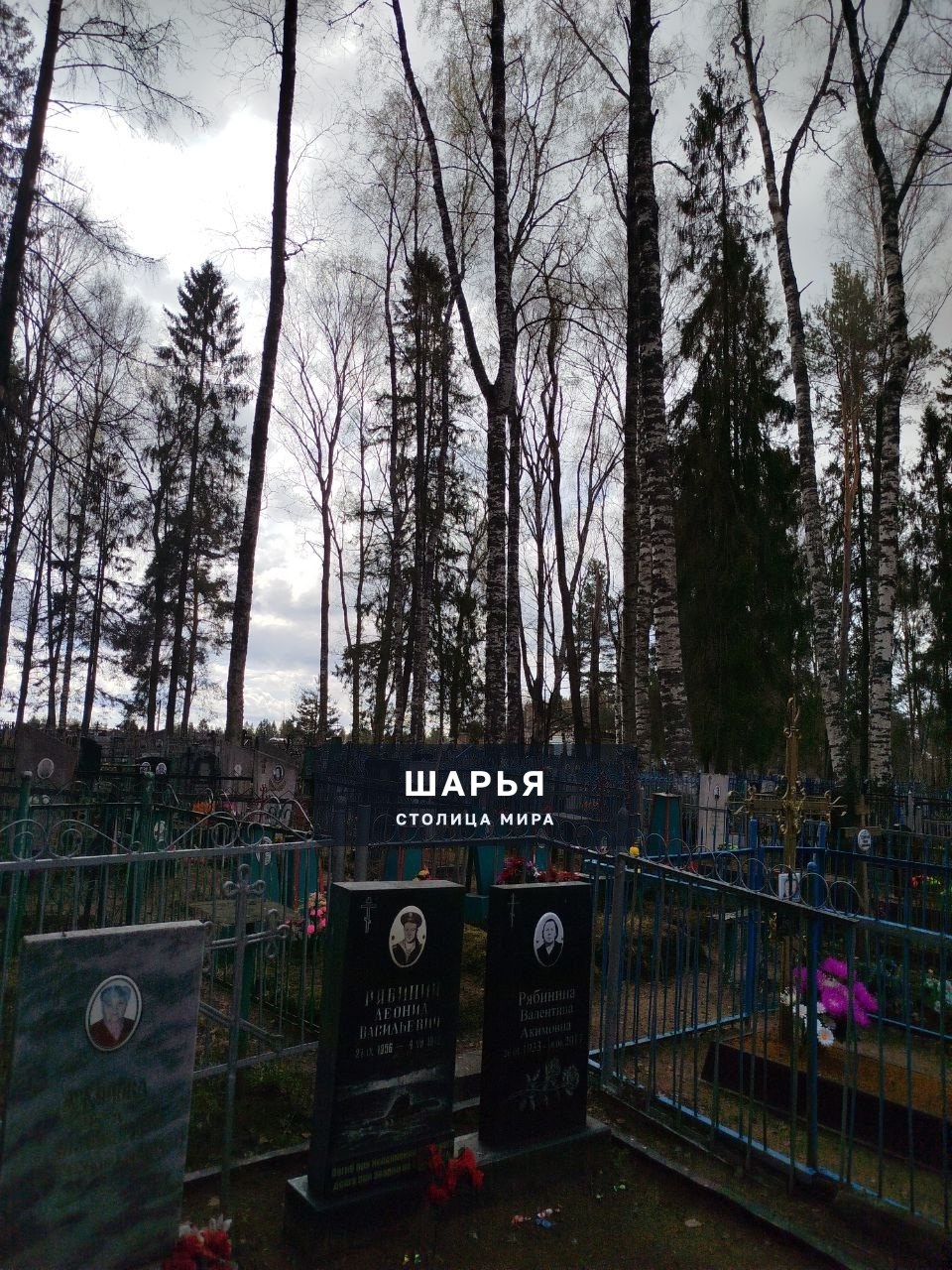 Сегодня был на кладбище Козлово где увидел надломленное дерево, висящее кроной на другом… — Шарья — фото 3