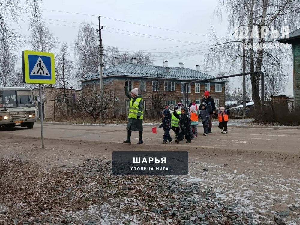 Шарьинские дошколята участвуют в дорожных экскурсиях — Шарья — фото 4