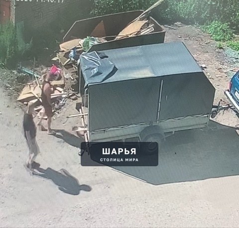Шарьинцы продолжают устраивать из родного города помойку — Шарья — фото 3