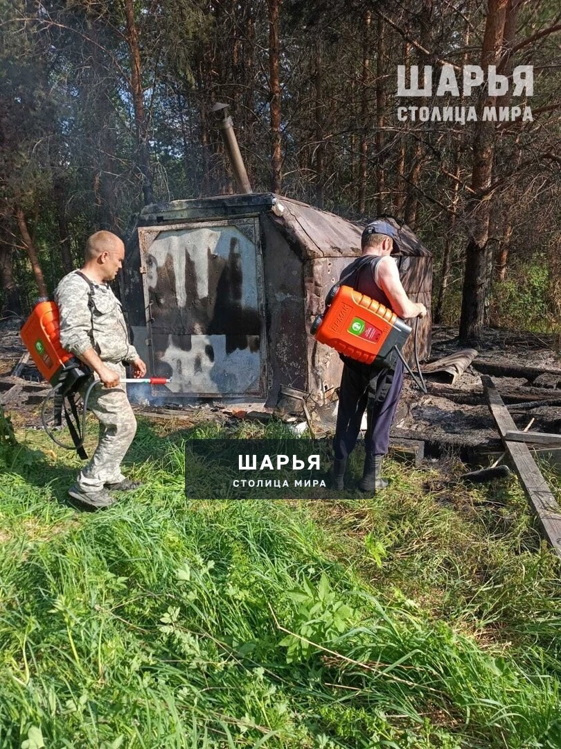 Оставленный рыбаками костер на берегу Ветлуги привел к лесному пожару — Шарья — фото 2