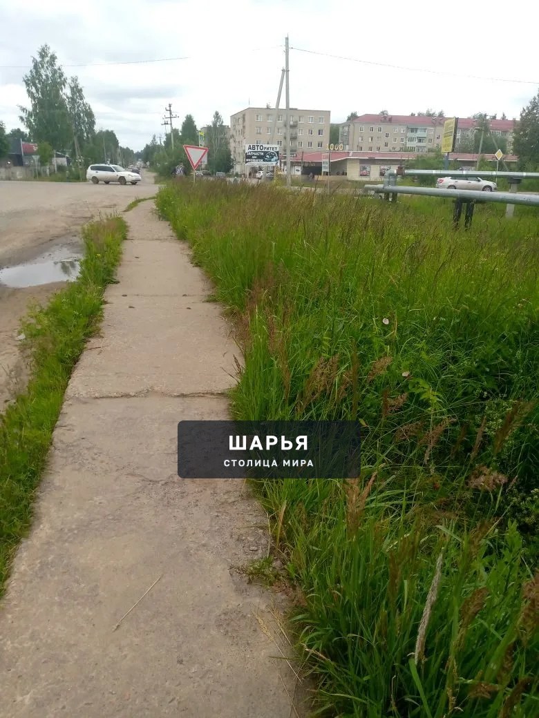 Здравствуйте. Хочу поделиться своим возмущением по поводу работы нашей администрации — Шарья — фото 4
