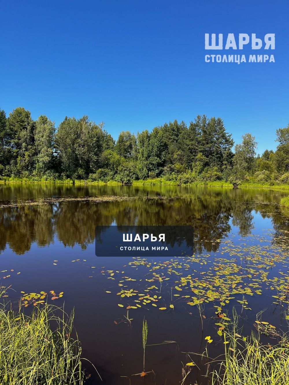 Летоавгуст — Шарья