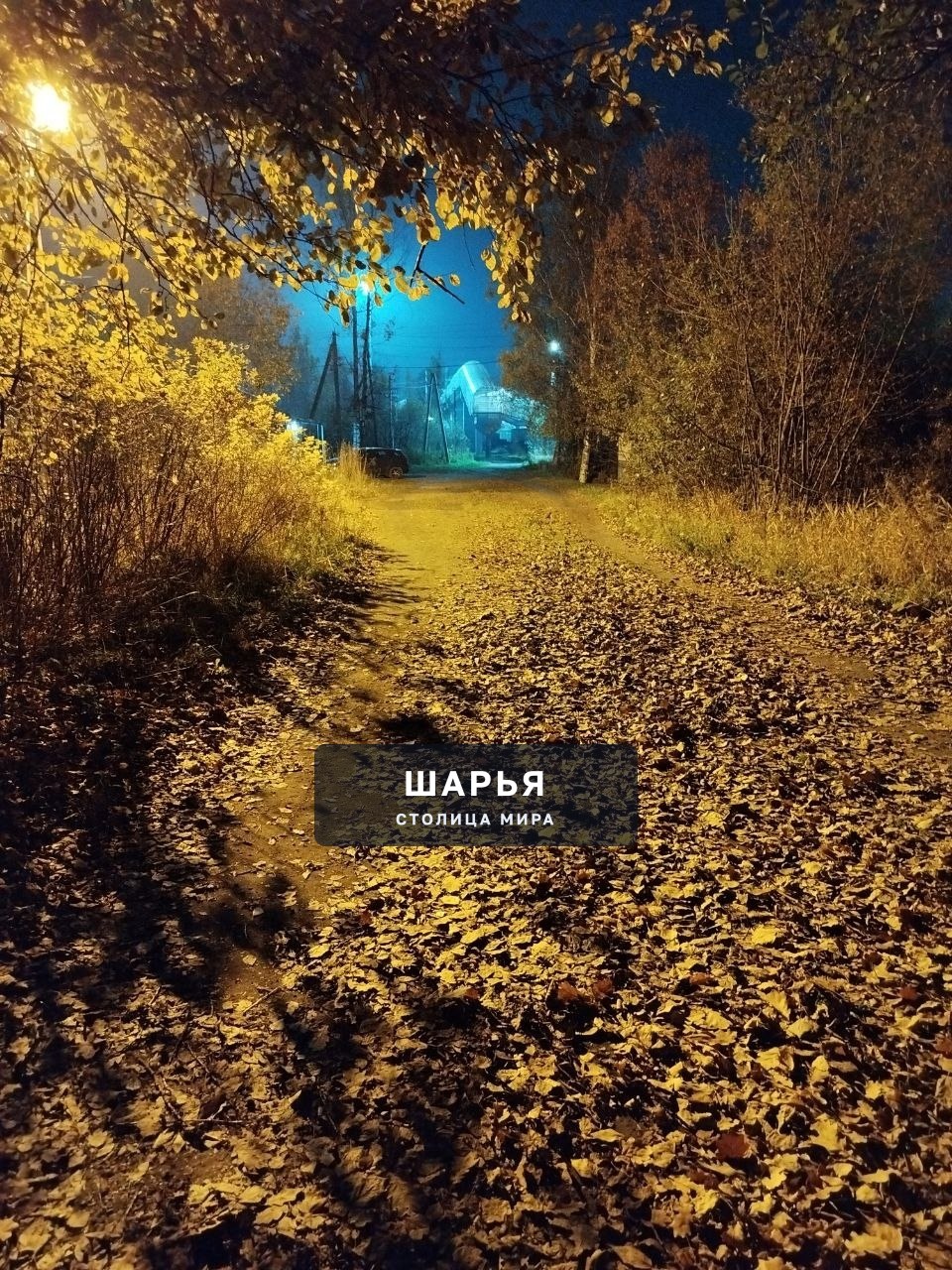 Ходила осень... Просила мира — Шарья