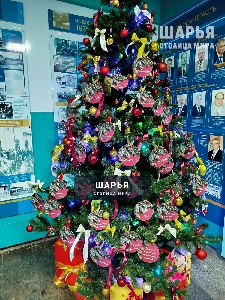 Подари ребенку Новый год — Шарья