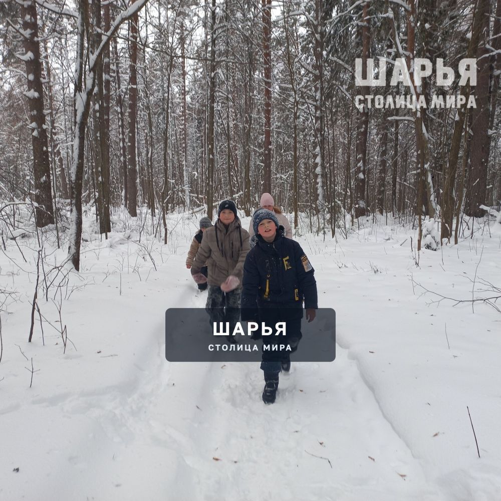 Юные жители Шарьинского района накормили лесных животных — Шарья — фото 8