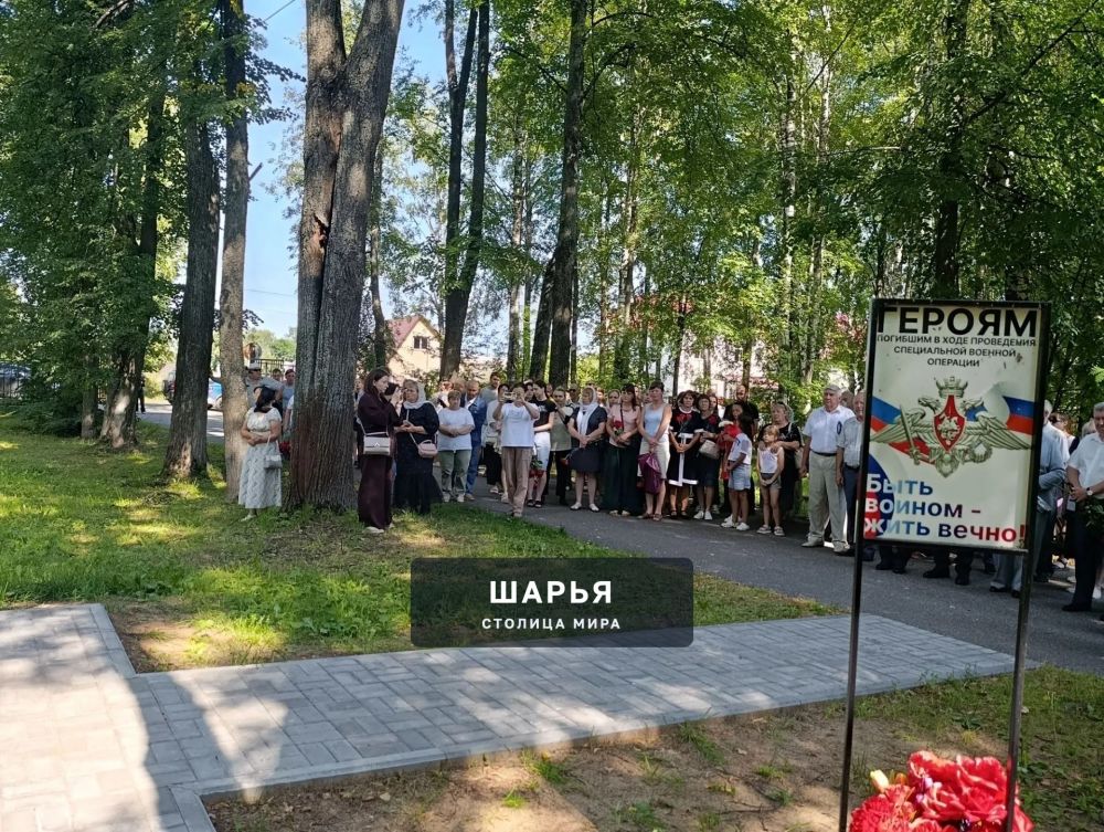 Аллея славы героев, погибших в ходе проведения СВО, вновь пополнилась новыми именами — Шарья — фото 5