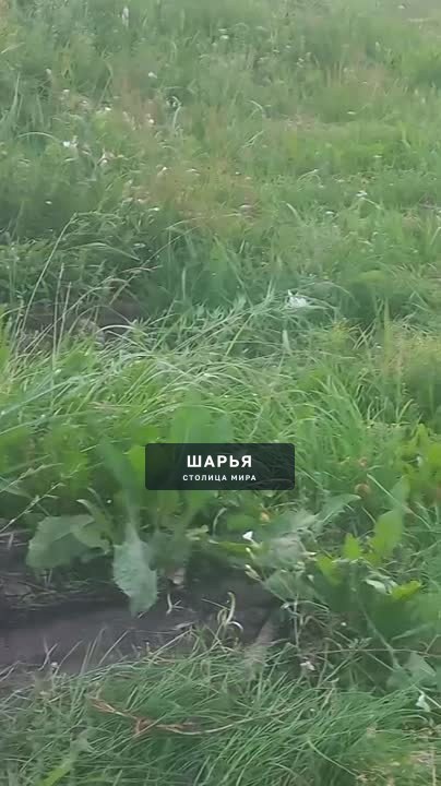 Спасибо Всем причастным!!! — Шарья