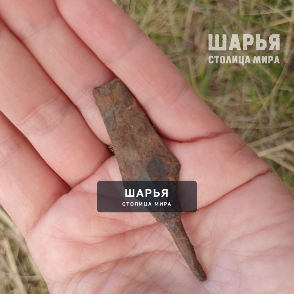 Найдены первые находки этого сезона при раскопках Одоевского городища — Шарья — фото 4