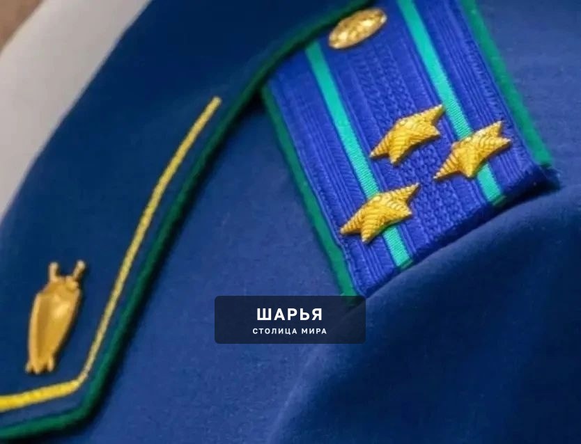 Глава района ответит за спиленные дерево в Рождественском — Шарья