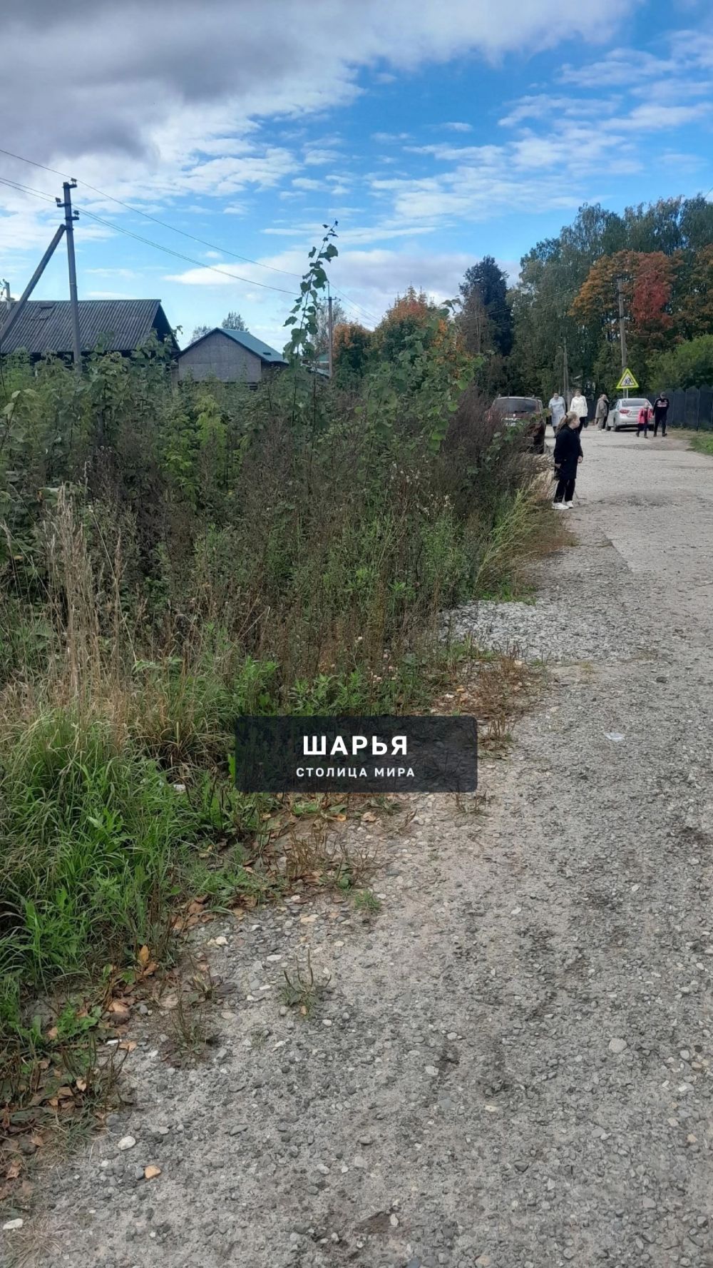 Добрый день. Уважаемая администрация! — Шарья — фото 5