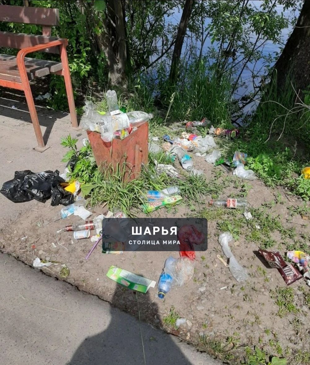Отдыхающие устроили свалку — Шарья