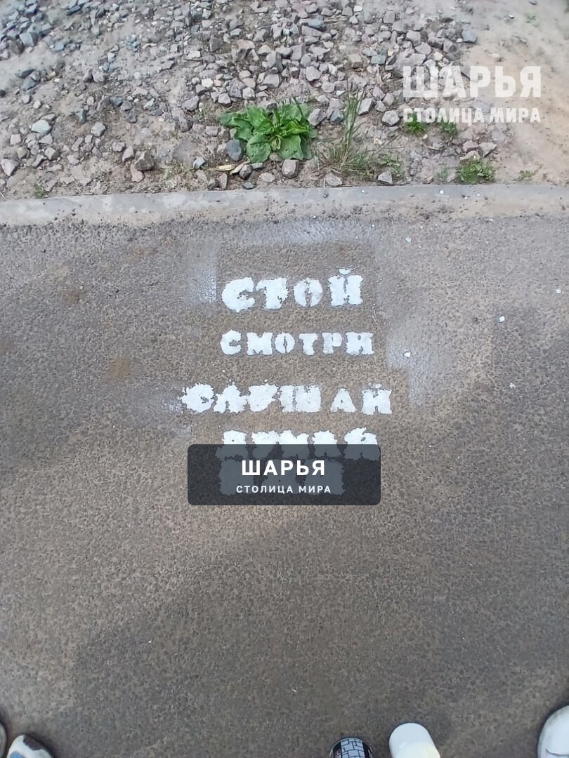 Дети Шарьи призывают земляков к соблюдению ПДД — Шарья — фото 3