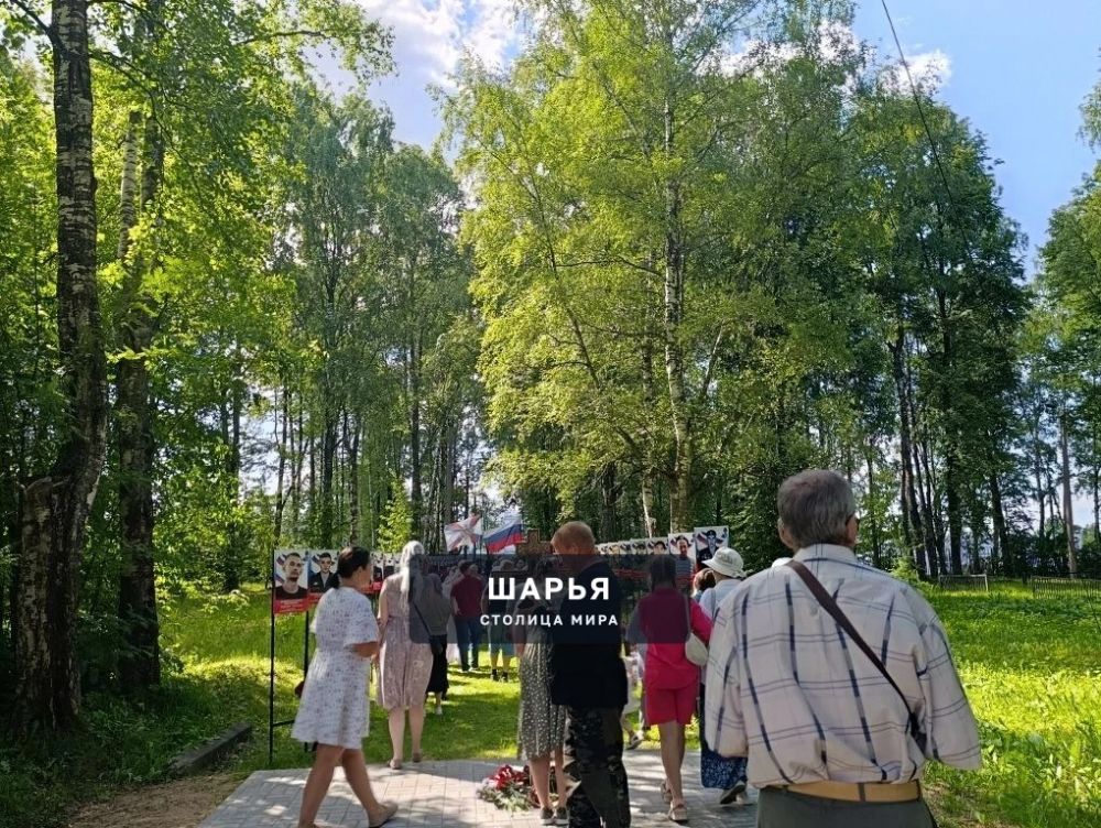Аллея славы героям, павшим в ходе проведения СВО, пополнилась новыми портретами — Шарья — фото 3