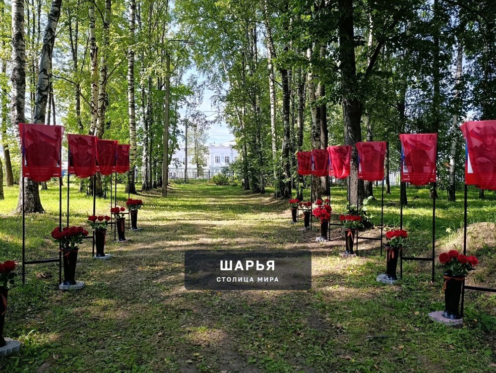 Отслужили литию по жизнь свою отдавшим на поле брани воинам — Шарья — фото 6