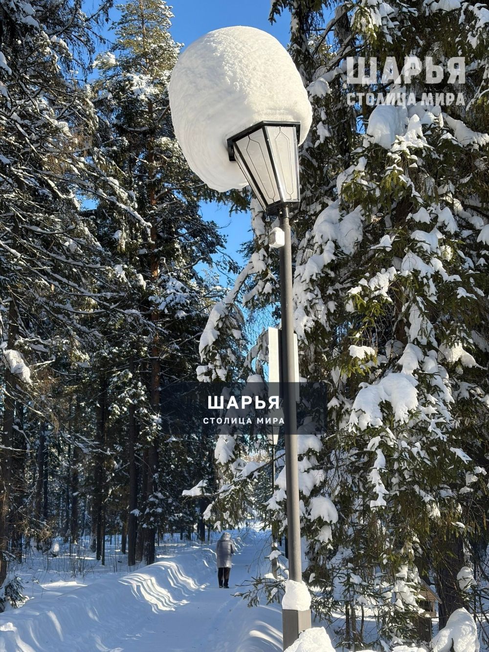 Зима в городском парке — Шарья